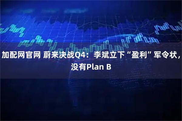 加配网官网 蔚来决战Q4：李斌立下“盈利”军令状，没有Plan B